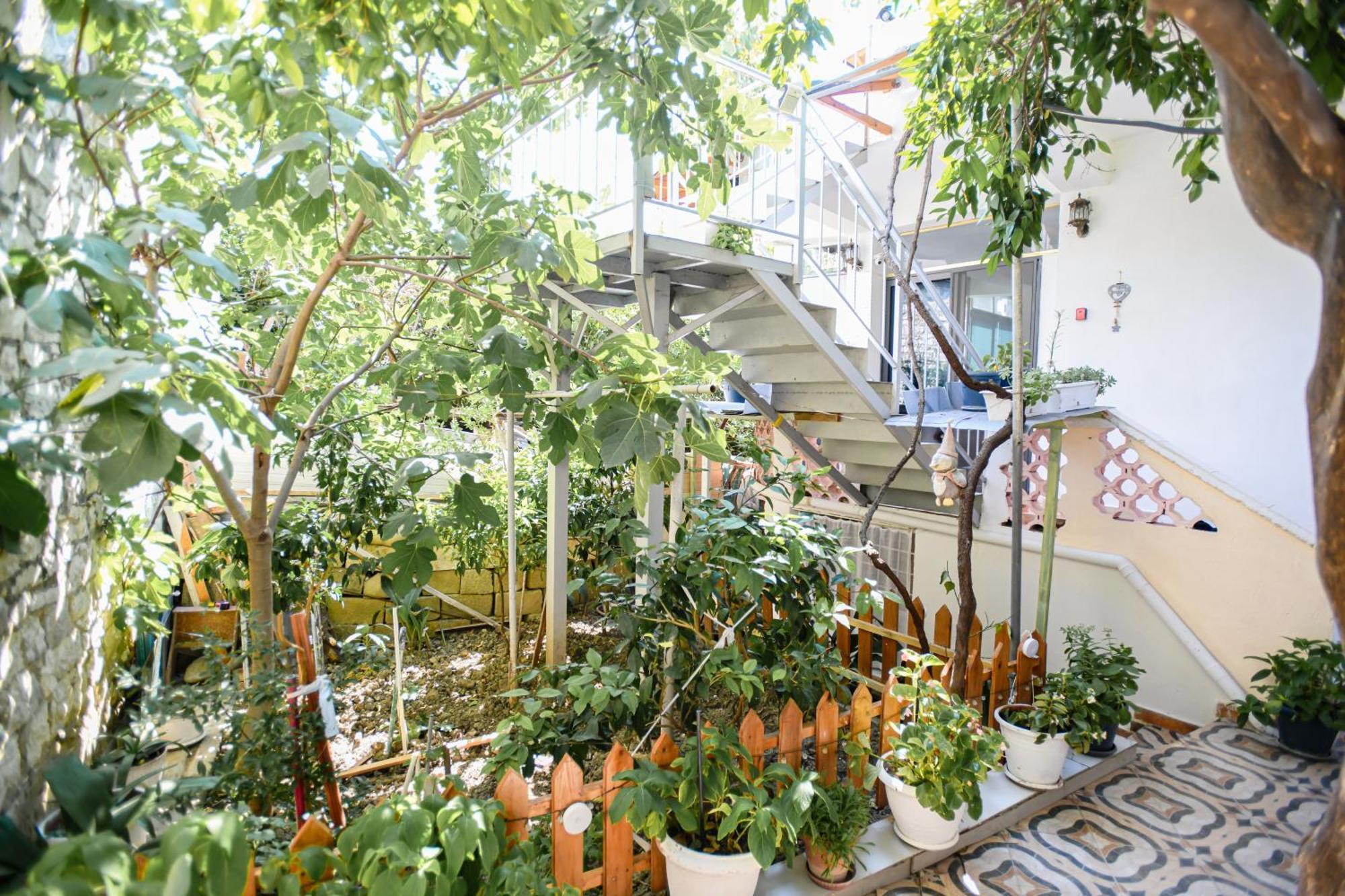 Guest House Flowers Berat Luaran gambar